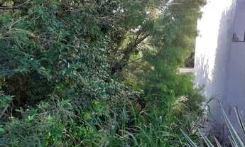 Imagem 2: Porto Alegre - Terreno Padrão - Ipanema