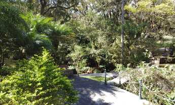 Imagem 5: Terreno 5.000 metros