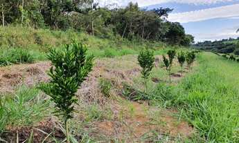 Imagem 5: Fazenda em são gonsalo do sapucai 111 hec 10.200.000.00 ( elice
