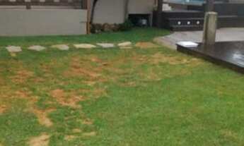 Imagem 4: Casa Alvenaria à venda em Garopaba/SC