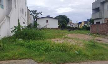 Imagem 2: Lotinhos/fração de 50 metros quadrados