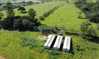 Imagem 2: Ótima fazendinha de 15 ha em São Tiago MG muito bem montada e preparada