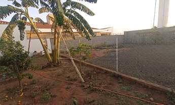 Imagem 3: Sao Carlos - Terreno Padrao - Jardim de Cresci