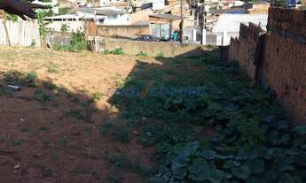 Imagem 4: Terreno - Jardim Paranapanema - Campinas