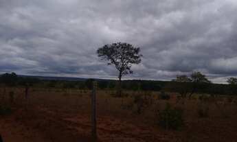 Imagem 6: Fazenda de 204 hectares. dupla aptidão