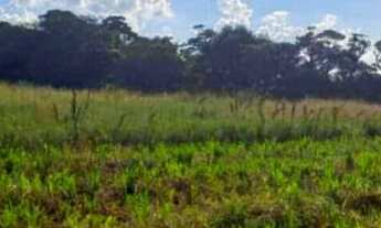 Imagem 3: 11o- Terrenos Direto com o proprietário