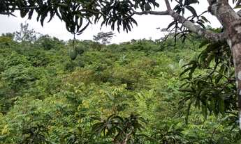 Imagem 3: Venda de propriedade