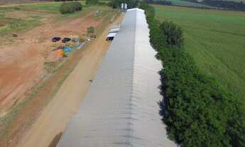 Imagem 3: Chácara com aviário de frango