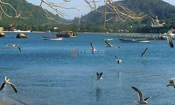 Imagem 2: Terreno à venda, 1500 m² por R$ 1.500.000,00 - Santo Antônio de Lisboa - Florianópolis/SC