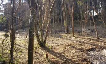 Imagem: Ibiúna - Terreno Padrão - Paruru