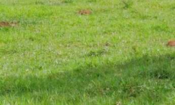 Imagem: VENDO FAZENDA