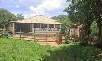 Imagem: Ótima fazendinha de 15 ha em São Tiago