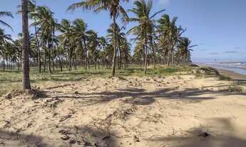 Imagem: Terreno com 52 tarefas - Barra dos Coqueiros