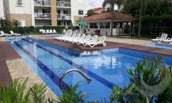 Imagem: FLORIANóPOLIS - Padrão - Capoeiras