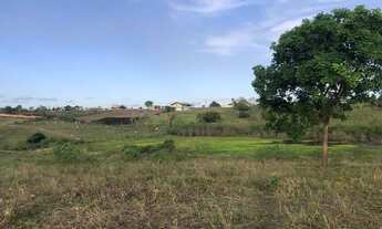 Imagem: Vendo Fazenda em Guarabira - Cuitegi - PB