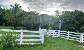 Imagem 4: Fazenda com 240 hectares em Alto Alegre / Roraima, região da Sumaúma, contendo 180 hectare