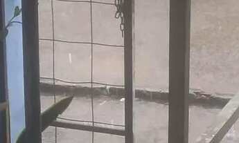 Imagem: Mesa de ferro