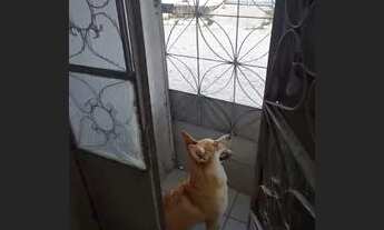 Imagem 7: Casa para alugar no barrio Maria auxiliadora