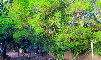 Imagem 7: Oportunidade!!! Casa a 50km de Montes Claros, com 2 quartos, cozinha e banheiro