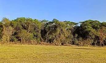 Imagem 4: Recanto dos Ipês