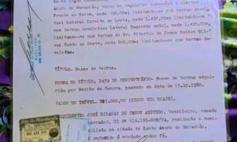 Imagem: 50 Hectares em Santo Amaro