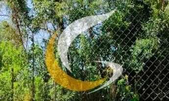 Imagem 2: Aluguel de casa com 3 quartos, quintal no Bingen!