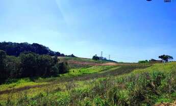 Imagem: Terrenos próx ao Pet Zoo