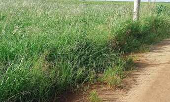 Imagem: Vende- se excelente chácara 300mts do asfalto