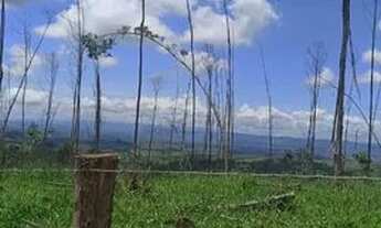 Imagem: Área à venda, 48400 m² por R$ 77.000,00