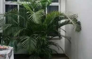 Imagem 3: Casa de alto padrão no Planalto Paulista, zona mista COMERCIAL e RESIDENCIAL