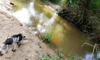 Imagem 3: Vendo fazenda no município de Formoso GO