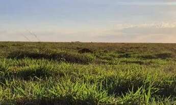 Imagem: Bonito de Minas - Fazenda 3000hectares