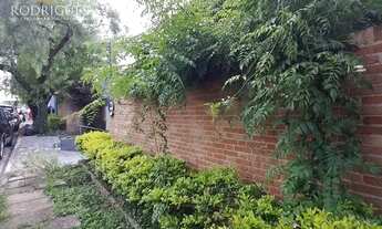 Imagem 4: Linda casa ajardinada em bairro nobre