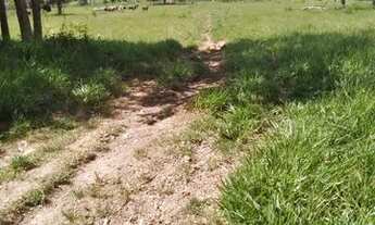 Imagem: Terra em Itaberaí -GO - MUITO BOA