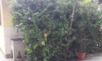 Imagem 3: QUARTO PRA MOÇAS