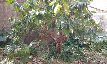 Imagem 7: Casa para aluguel tem 91 m2 com 2 quartos em Jardim América - Guarulhos - SP