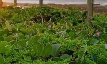 Imagem 2: CASA NA RESERVA PRAIA DOS SONHOS