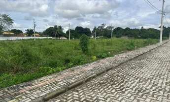 Imagem 3: Excelentes lotes na Pitubinha! Oportunidade!