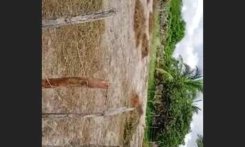 Imagem 5: Vendo Terreno em Sucatinga Berberibe