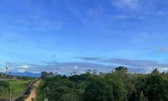 Imagem: Fazenda com 240 hectares em Alto Alegre