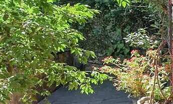 Imagem 5: Casa para Aluguel - Ermelino Matarazzo, 4 Quartos, 120 m2