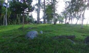 Imagem 4: BELÍSSIMA CHACARA EM ARAUCÁRIA PR