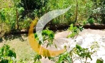 Imagem 3: Aluguel de casa com 3 quartos, quintal no Bingen!