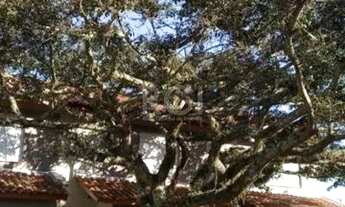 Imagem 7: Casa para Venda - 50m², 2 dormitórios, 1 vaga - Ponta Grossa