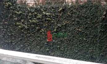 Imagem 2: Casa com 2 dormitórios para alugar, 90 m² por R$ 1.600/mês - Jardim Paraíso - Guarulhos/SP