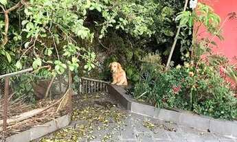 Imagem 7: Casa para Aluguel - Ermelino Matarazzo, 4 Quartos, 120 m2