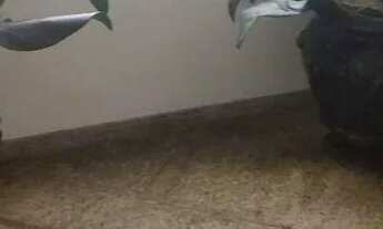 Imagem 7: Apartamento com 2 dormitórios para alugar, 65 m² por R$ 2.300/mês - Parque da Mooca - São