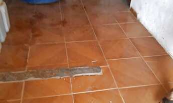 Imagem 5: Vendo casa com terreno grande!