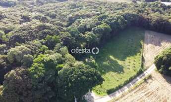 Imagem 3: Chacara no Formigueiro em Araucaria