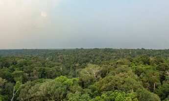 Imagem 3: Sítio 200 x 960 na BR 174 KM 80 160.000,00